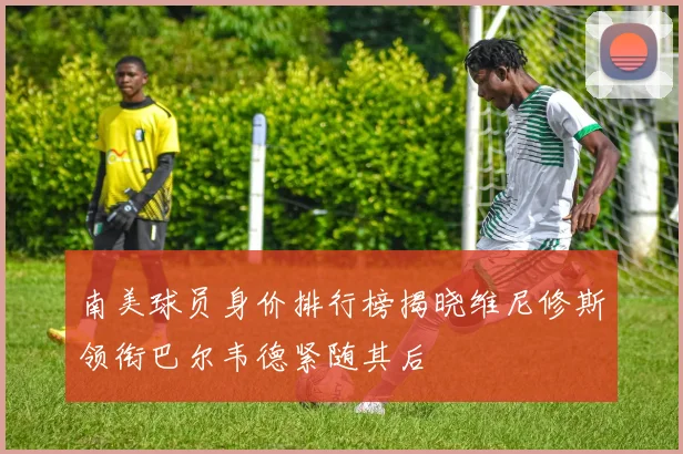 南美球员身价排行榜揭晓维尼修斯领衔巴尔韦德紧随其后